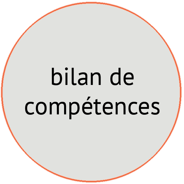 image bilan de compétences - Pépites conseil - Christine Desseaux