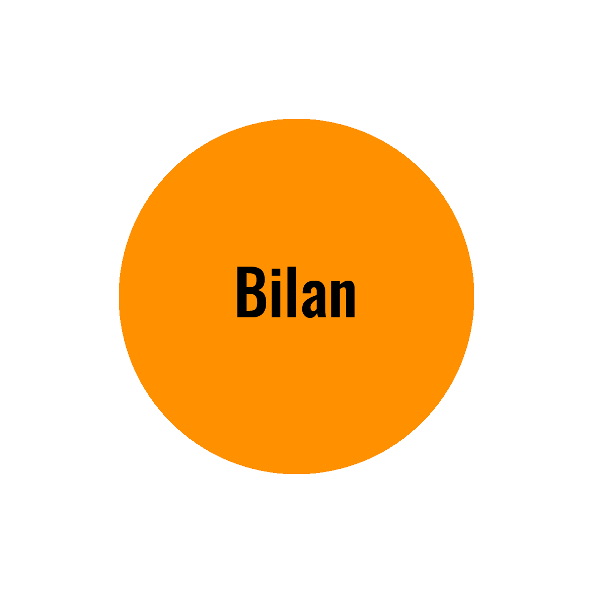 Bilan Outplacement Potentiel