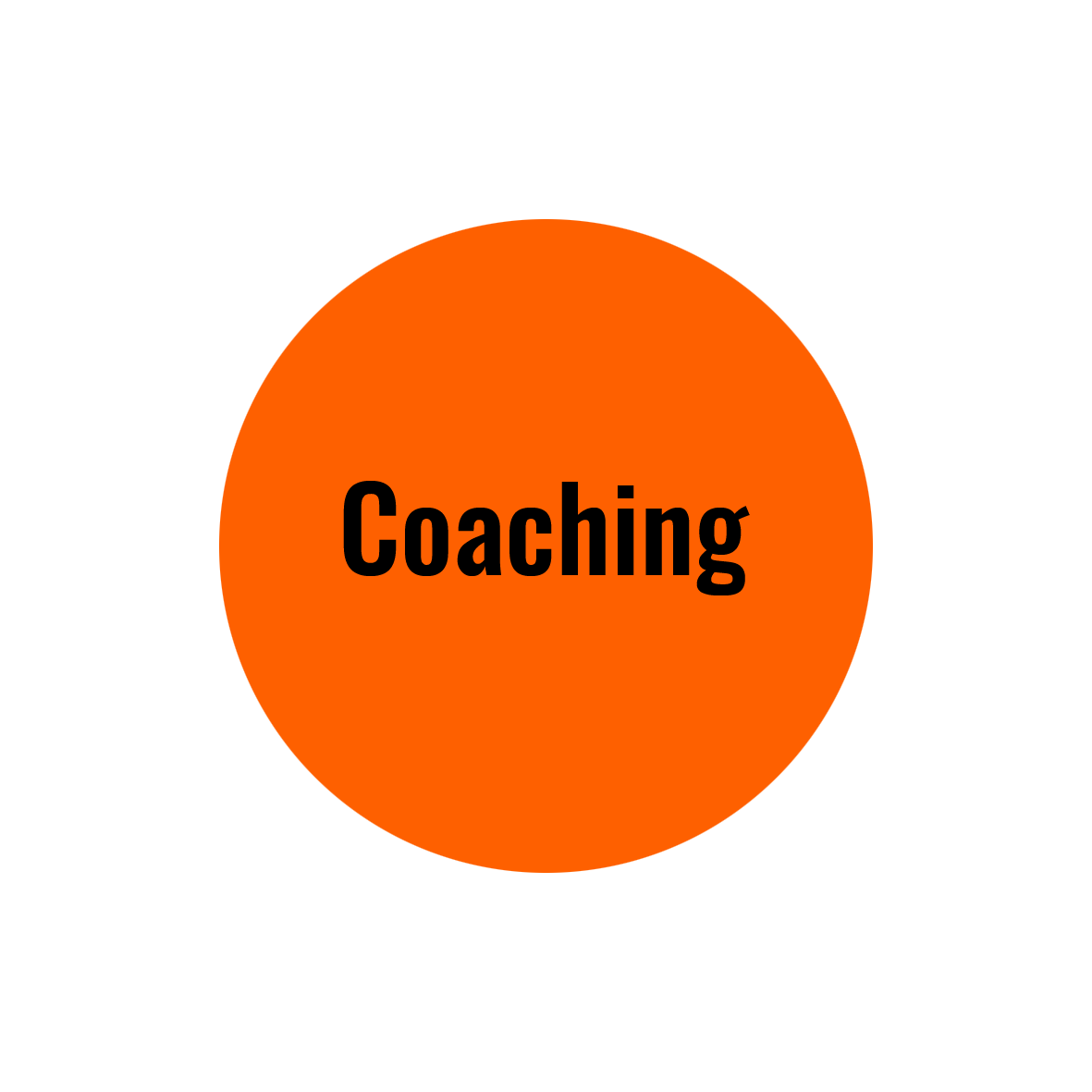 coaching - Pépites conseil - Métropole Lille