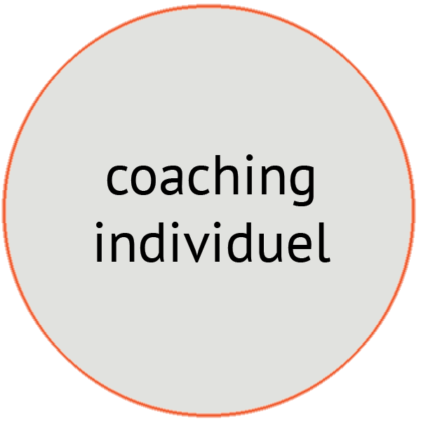 image coaching individuel - Pépites conseil - Christine Desseaux - Lille Métropole